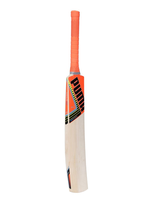 Puma Evospeed 2.5 16 Kashmir Willow Cricket Bat