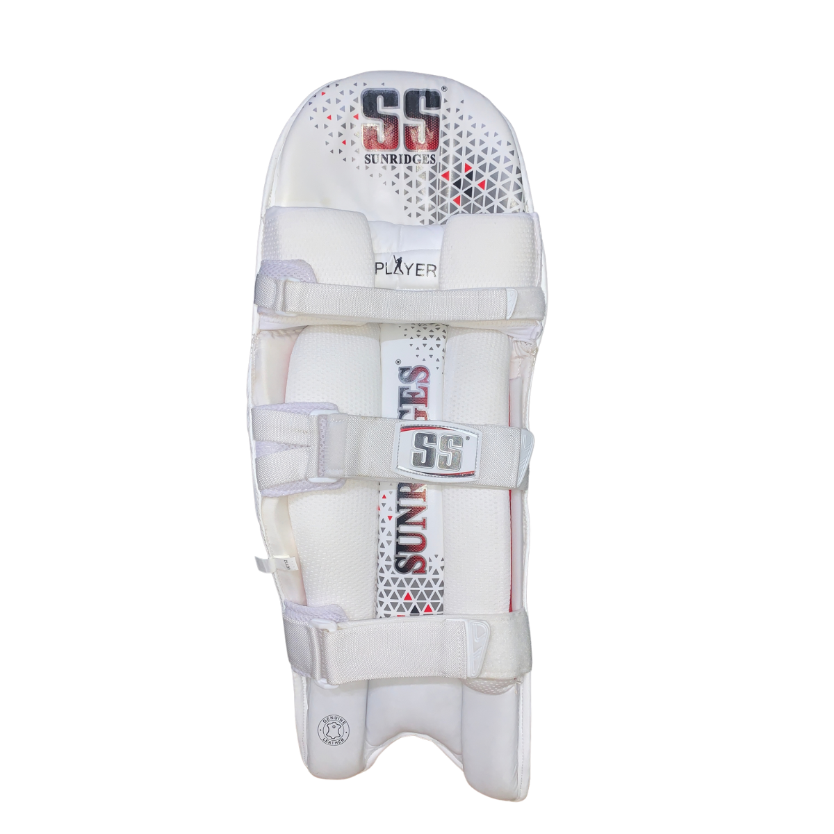 SS Players Cricket Batting Pads