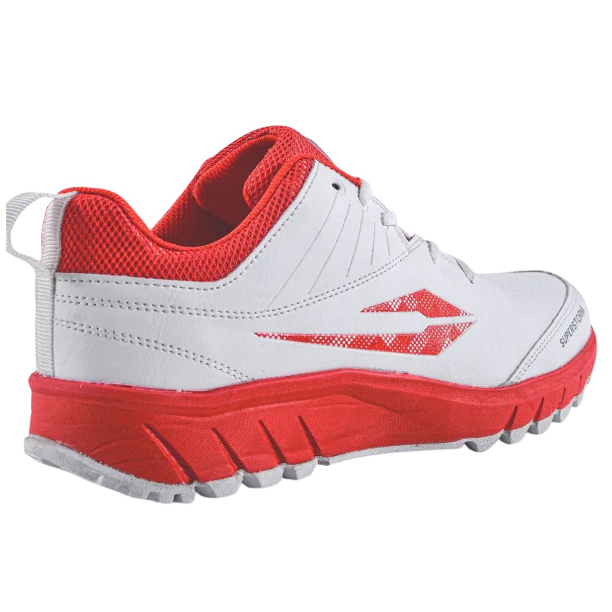 DSC Superstorm Cricket Shoes