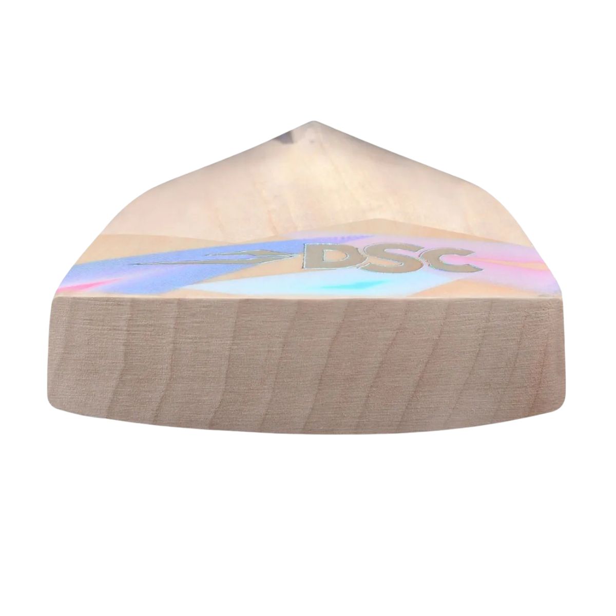 DSC Condor Winger English Willow Cricket Bat