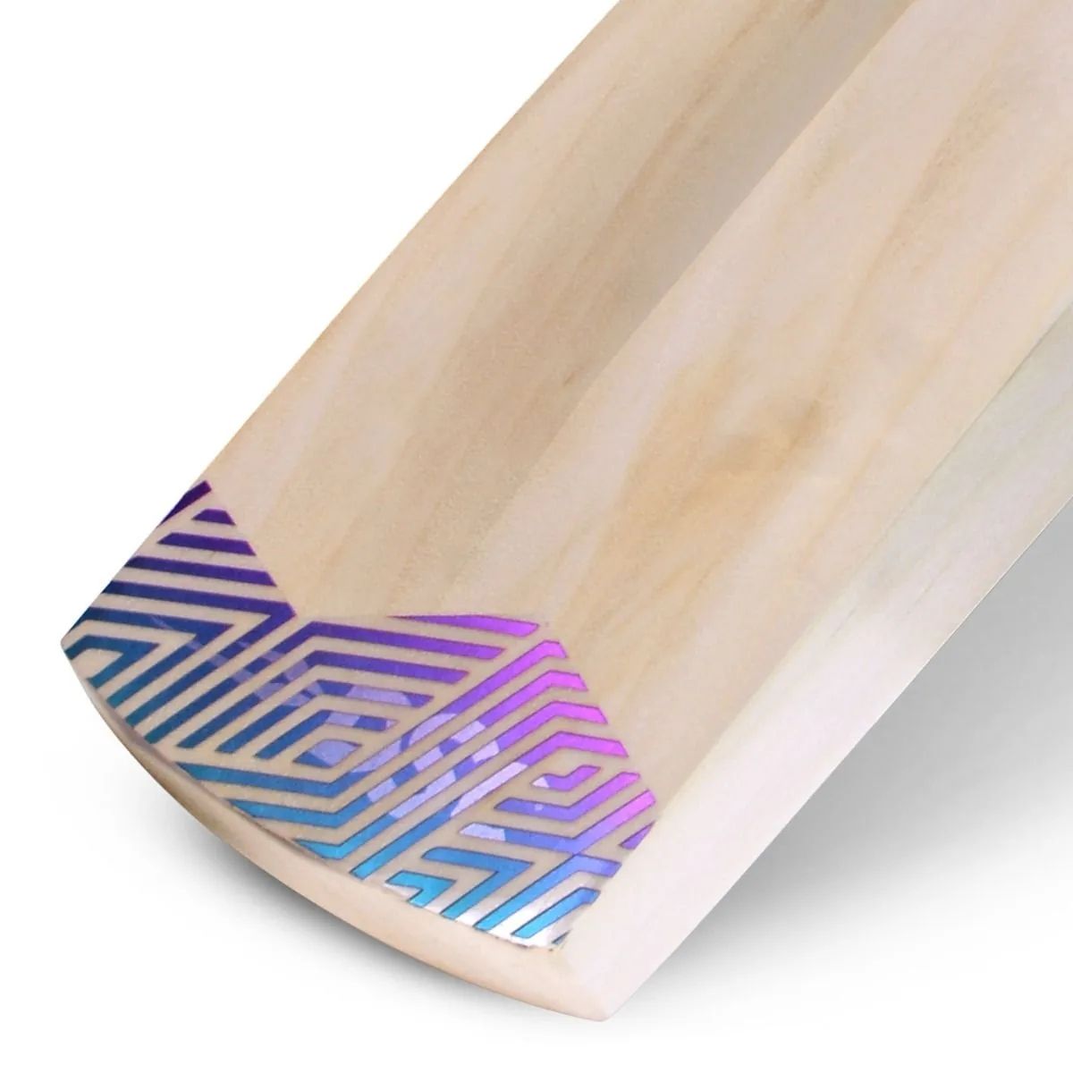 DSC RS Exclusiv Kashmir Willow Cricket Bat