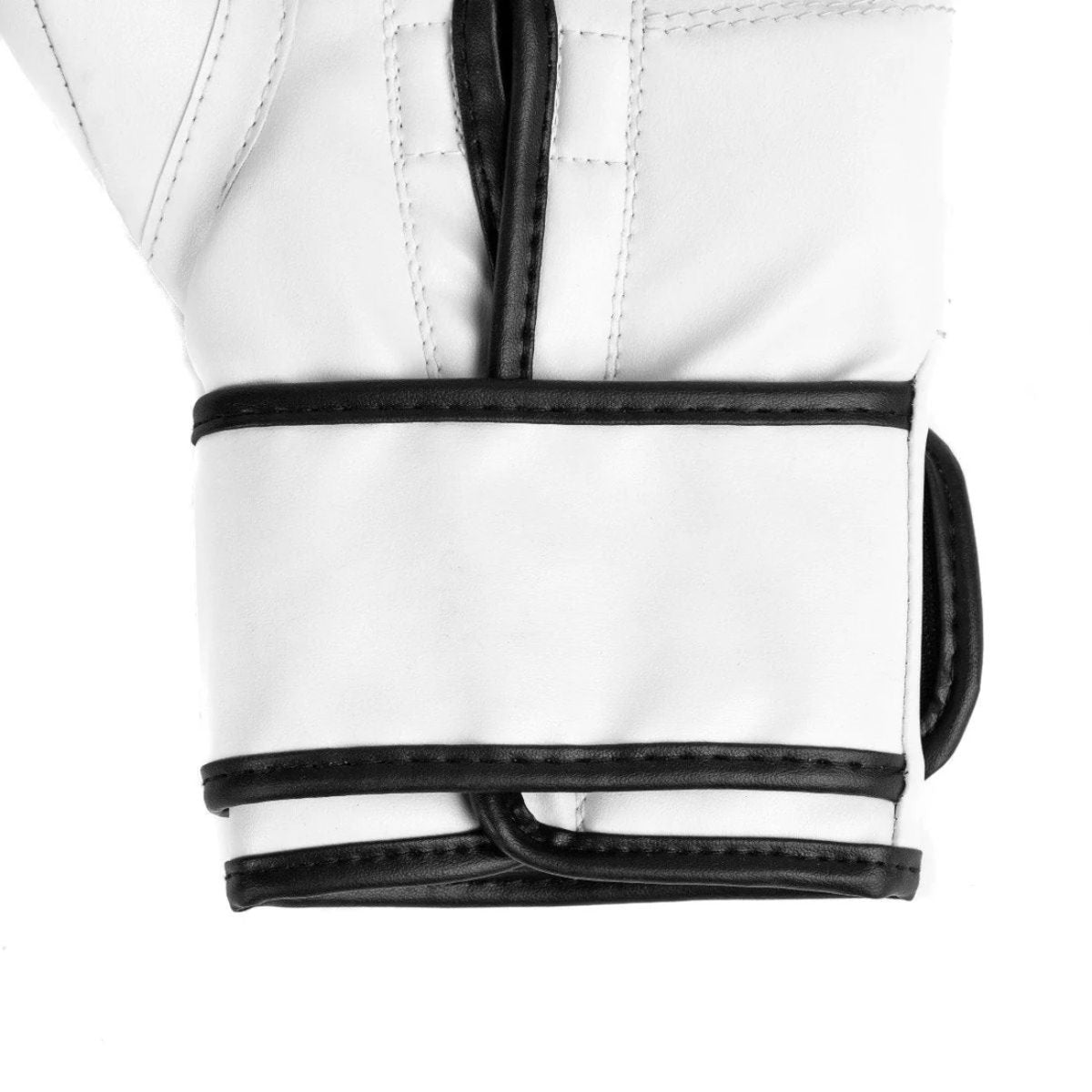 Everlast Core 2 Training Boxing Gloves