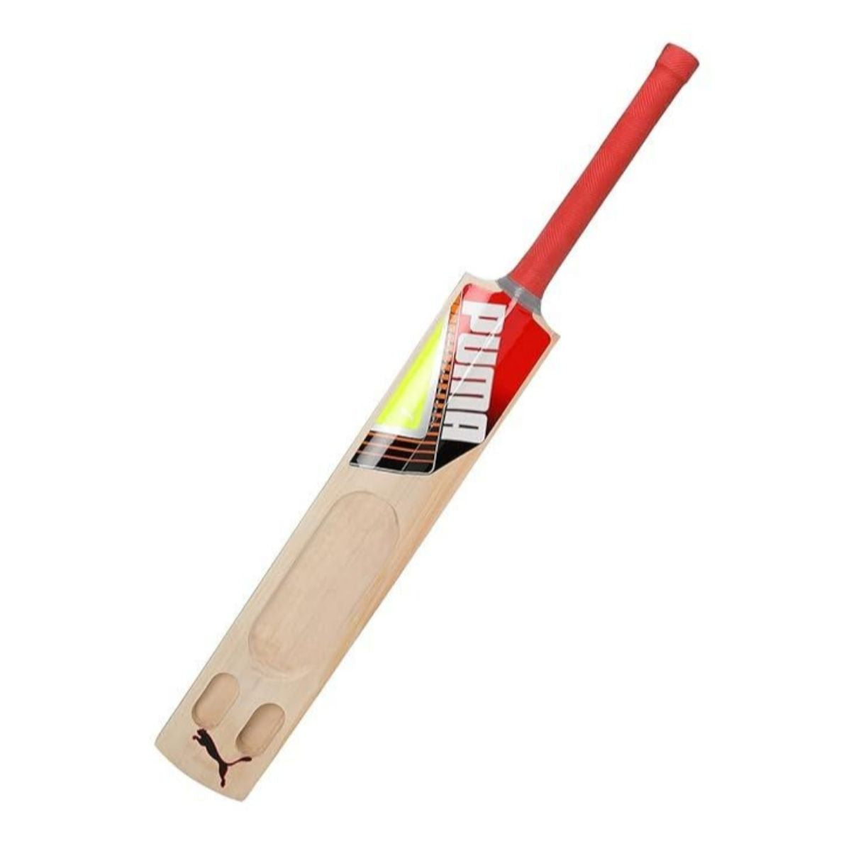 Puma Future STB 1.1 Kashmir Willow Cricket Bat