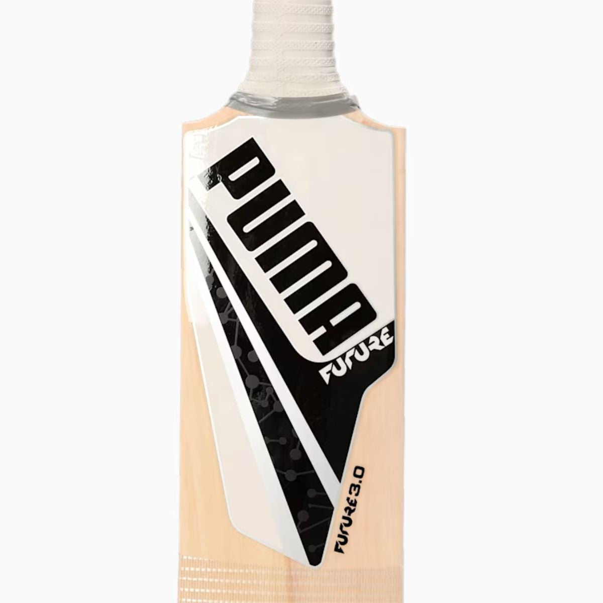 Puma Future 3.1 Kashmir Willow Cricket Bat
