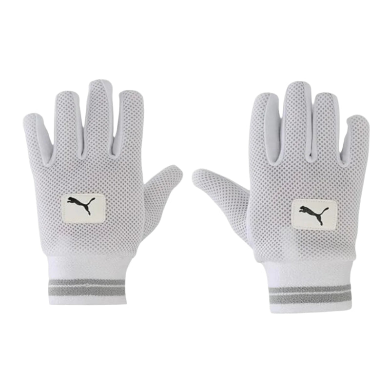 Load image into Gallery viewer, Puma Future 3 Wicket Keeping Inner Gloves Front Image
