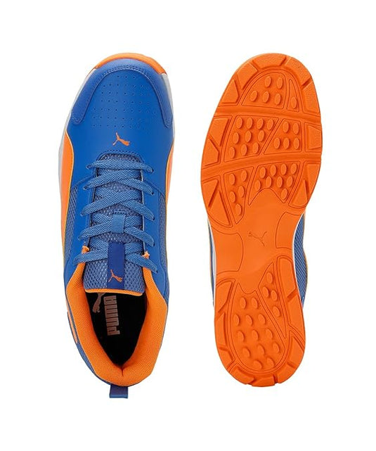 Puma Highrun Cricket Shoes