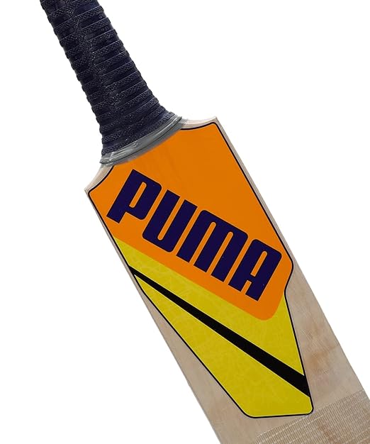 Puma Chennai City Kashmir Willow Cricket Bat