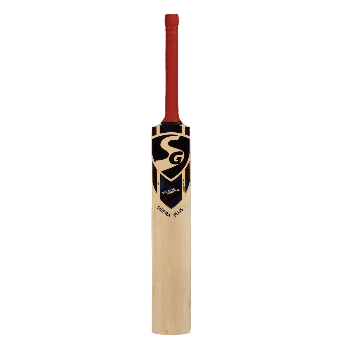 SG Sierra Plus Kashmir Willow Cricket Bat