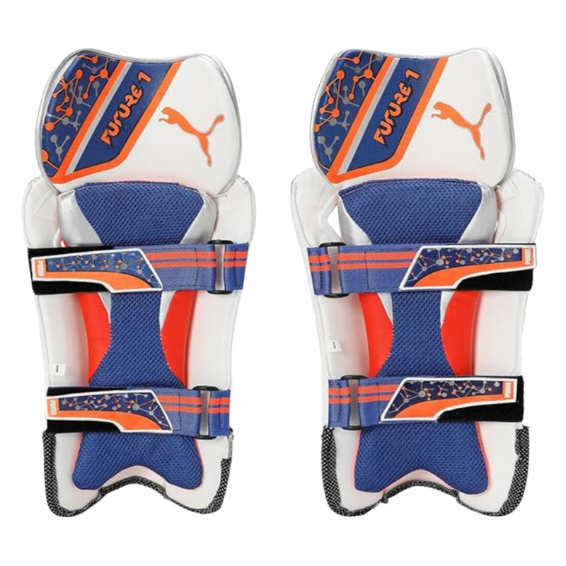 Load image into Gallery viewer, Puma Future 1 Wicket Keeping Pads Front Image
