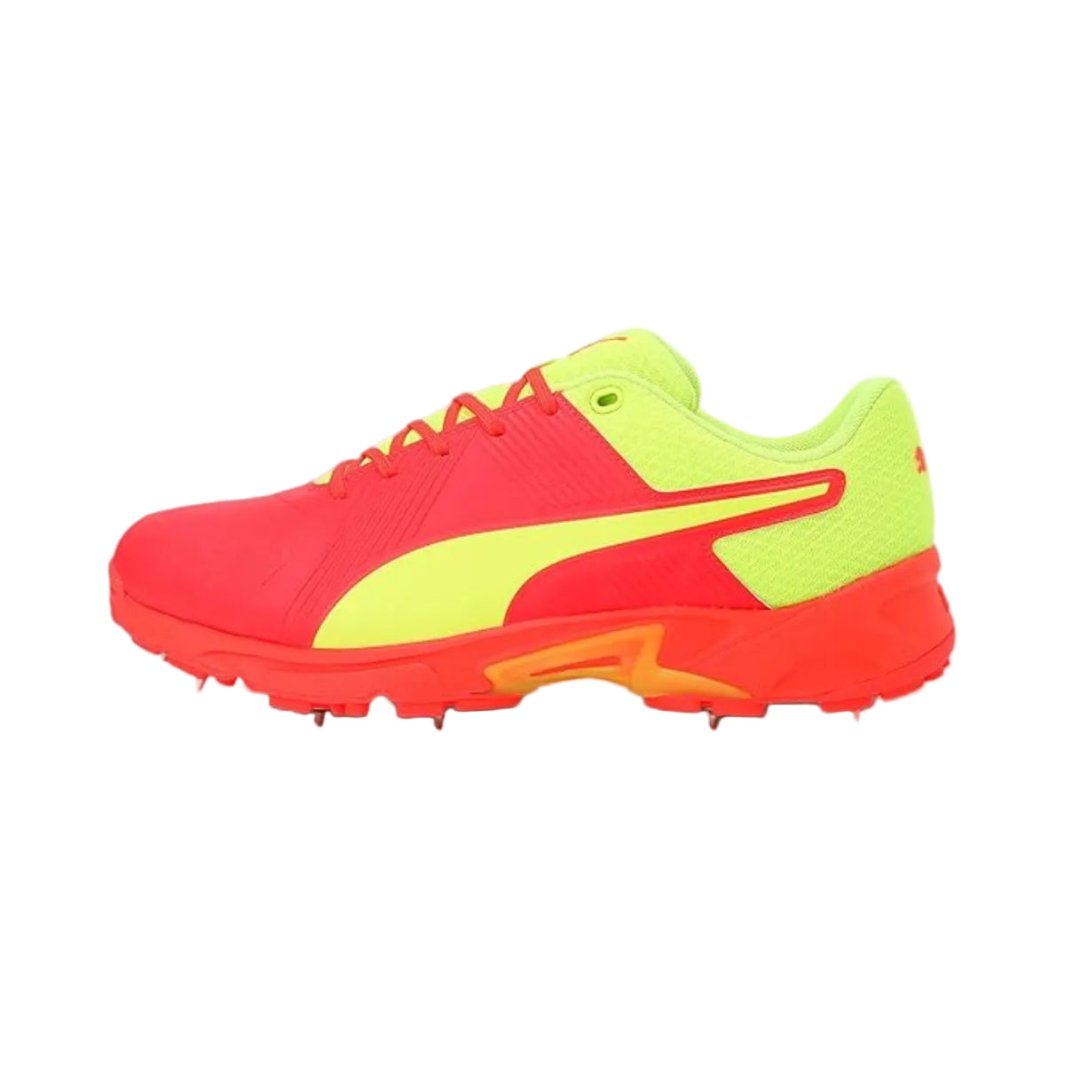 Puma Spike 19.2 Cricket Shoes
