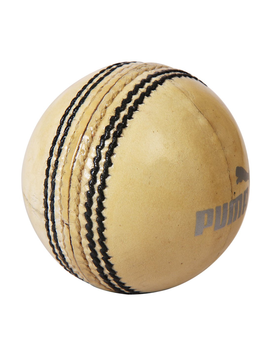 Puma Cricket Ball