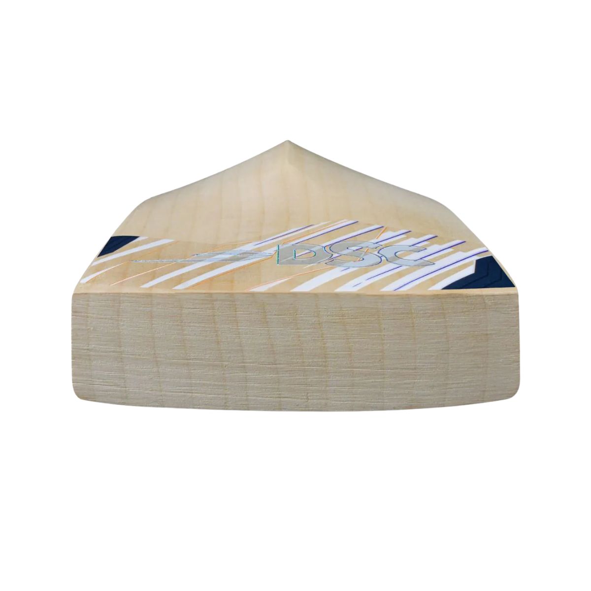 DSC Black 200 English Willow Cricket Bat