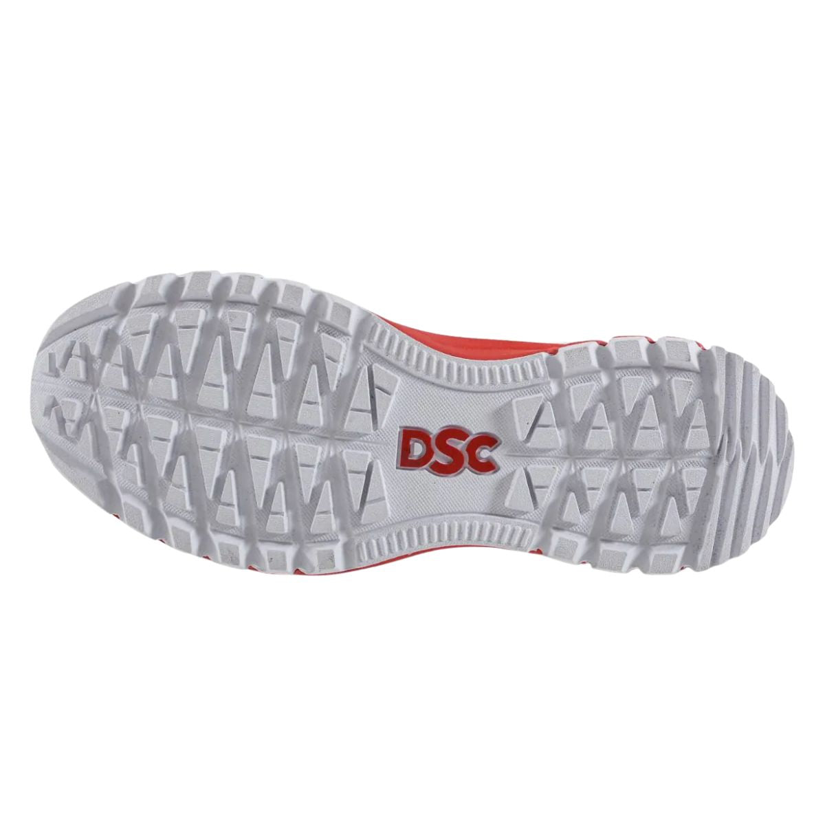 DSC Superstorm Cricket Shoes