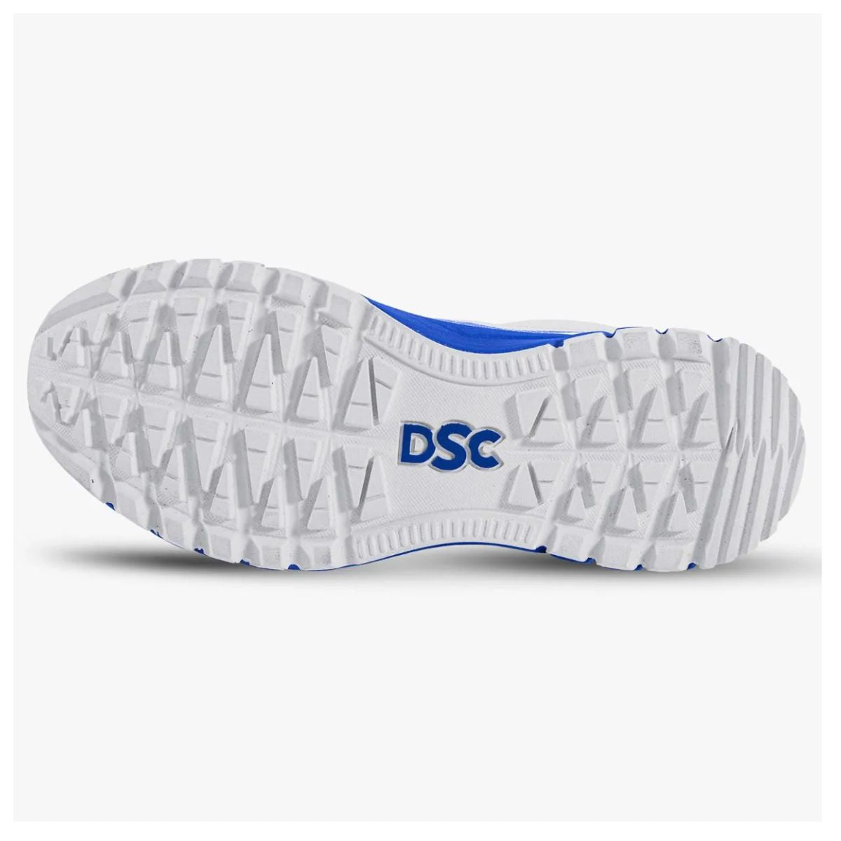 DSC Superstorm Cricket Shoes