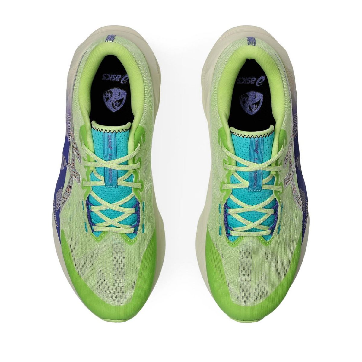 Asics Novablast 5 TR Running Shoes
