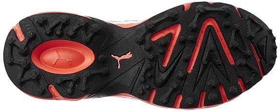 Puma Illuminate DP Cricket Shoes