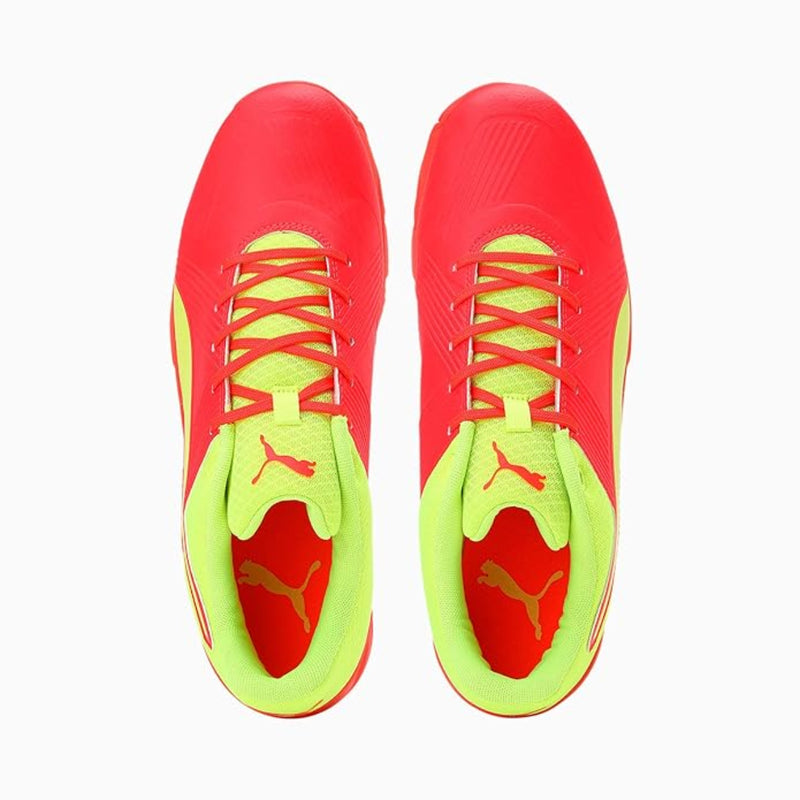 Load image into Gallery viewer, Puma Spike 19.2 Cricket Shoes
