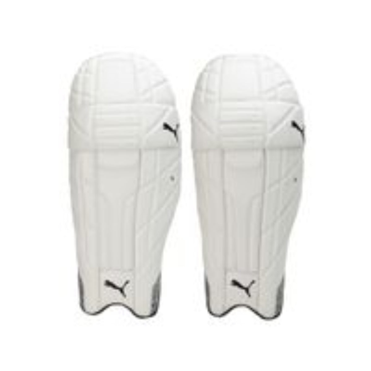 Puma Future 20.1 Batting Pads