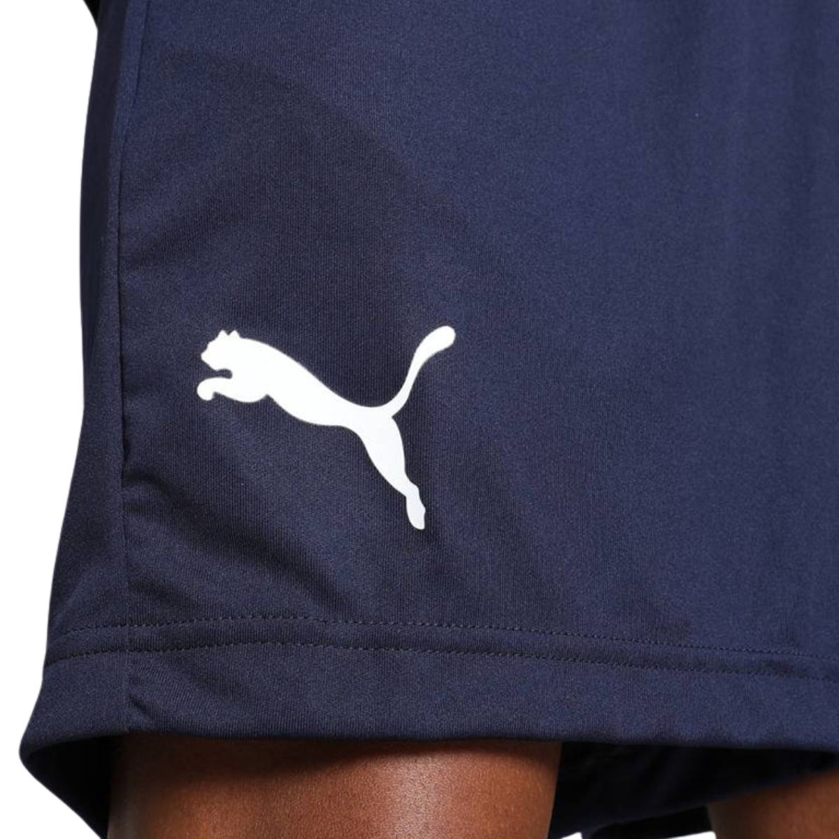Puma Cricket Teamwear Shorts