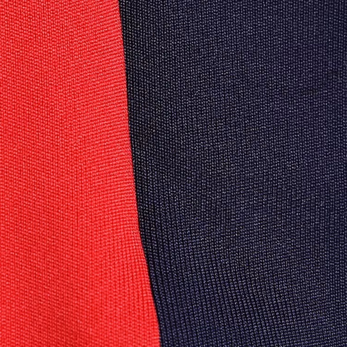 Puma RCB Training Shorts