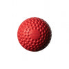 SG Swinga Cricket Ball