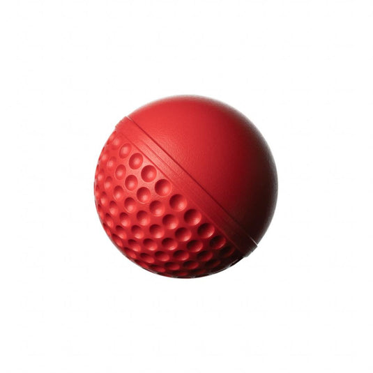 SG Swinga Cricket Ball