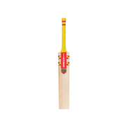 Gray-Nicolls GN Vapour Ignite Cricket Bat