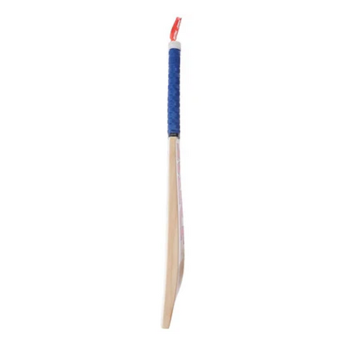 MRF Champ Kashmir Willow Cricket Bat