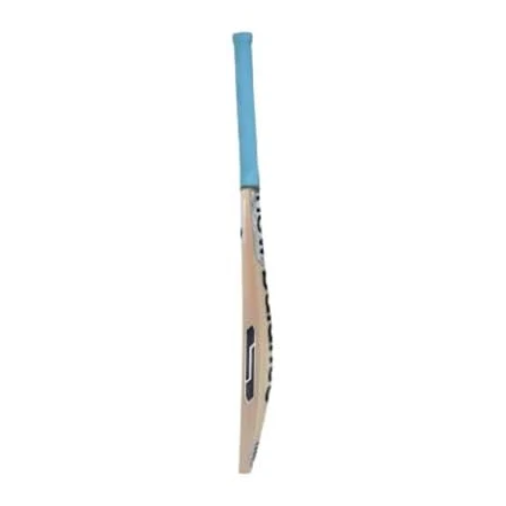 New Balance DC 100i Kashmir Willow Cricket Bat