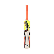 Puma Evospeed 2.5 16 Kashmir Willow Cricket Bat