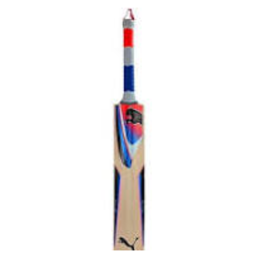 Puma Evospeed GTR Kashmir Willow Cricket Bat