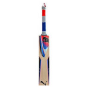Puma Evospeed GTR Kashmir Willow Cricket Bat