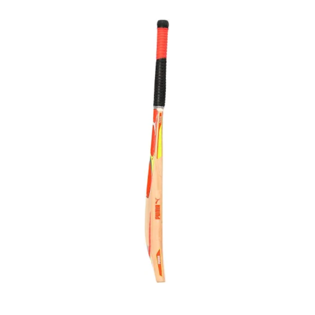 Puma Future 2.0 Cricket Bat