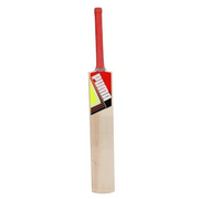Puma Future STB 1.1 Kashmir Willow Cricket Bat