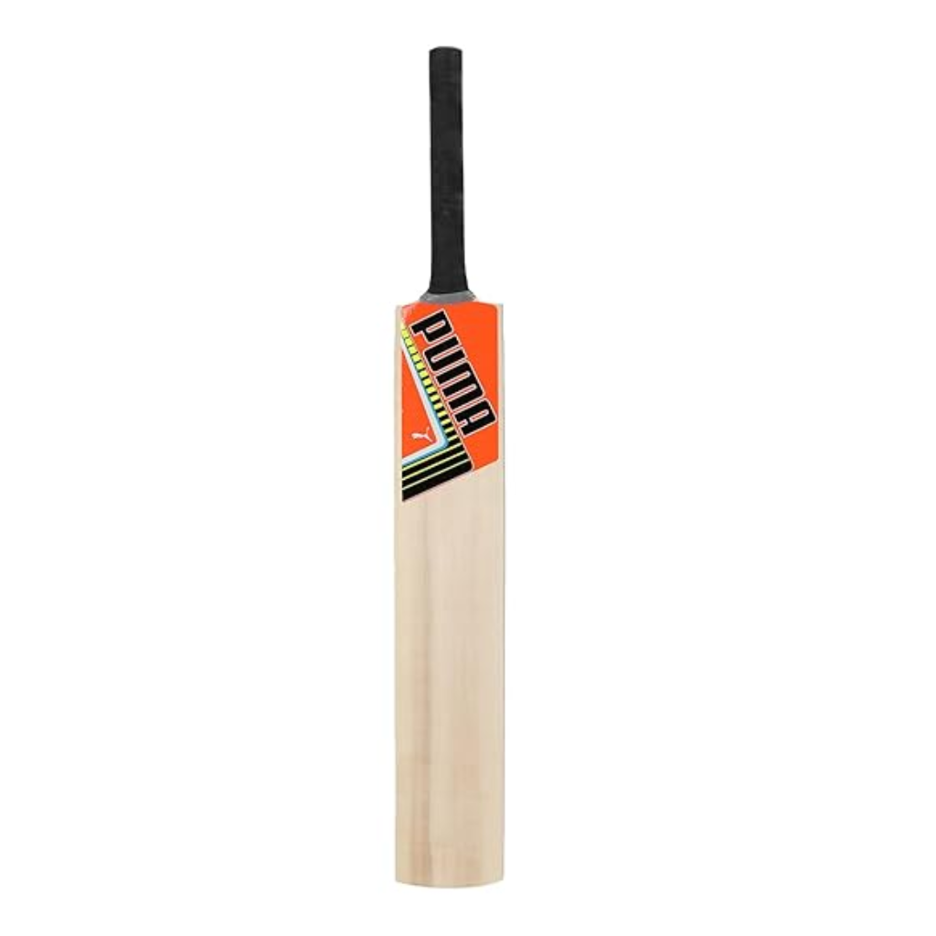 Puma Future STB Bat 2.1 Kashmir Willow Cricket Bat