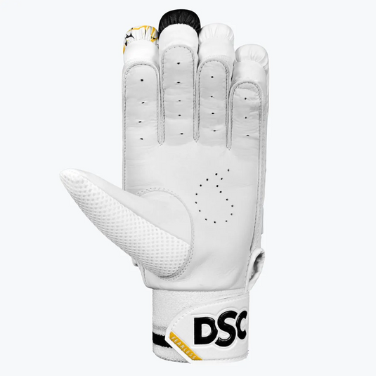 DSC Valor 2024 Cricket Batting Gloves