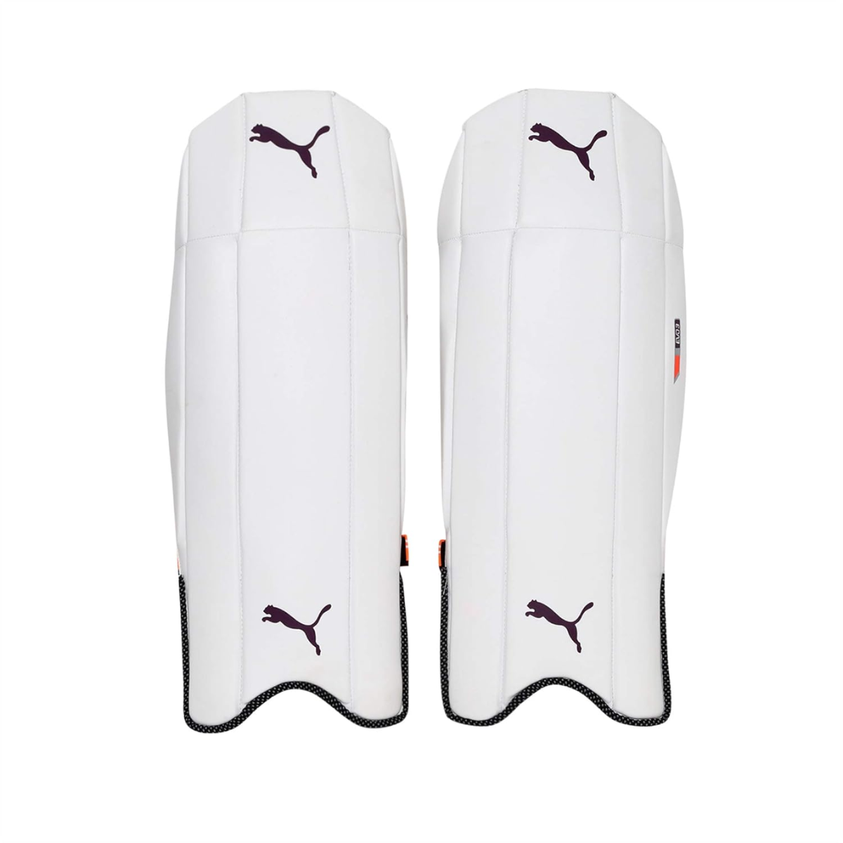 Puma Evospeed 3 Cricket Keeping Pads
