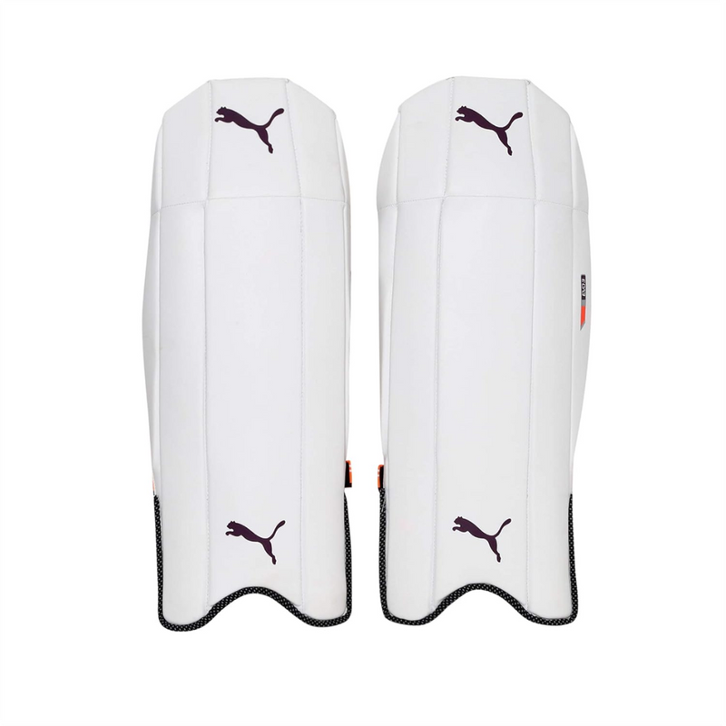 Load image into Gallery viewer, Puma Evospeed 3 Cricket Keeping Pads
