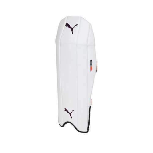 Puma Evospeed 3 Cricket Keeping Pads
