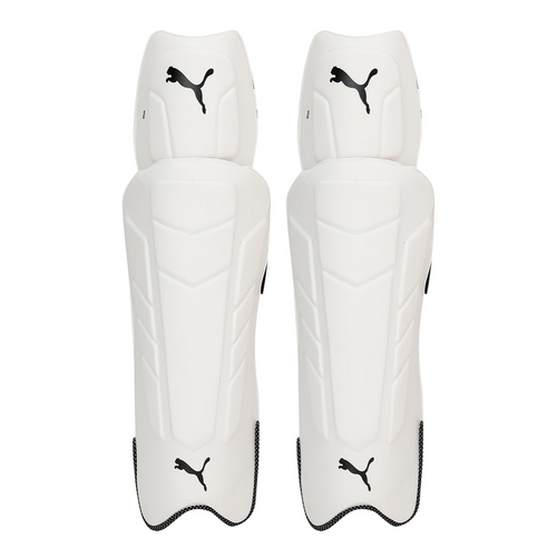 Puma Future 20.2 WKP Ethere Cricket Keeping Pads