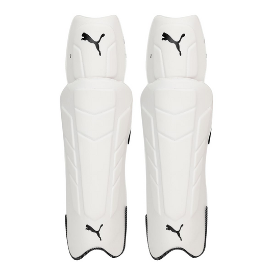 Puma Future 20.2 WKP Ethere Cricket Keeping Pads