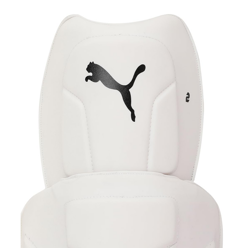Load image into Gallery viewer, Puma Future 20.2 WKP Ethere Cricket Keeping Pads
