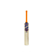 Somi MSD Phase English Willow Cricket Bat