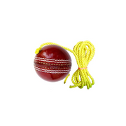 Hercules Hanging Cricket Ball