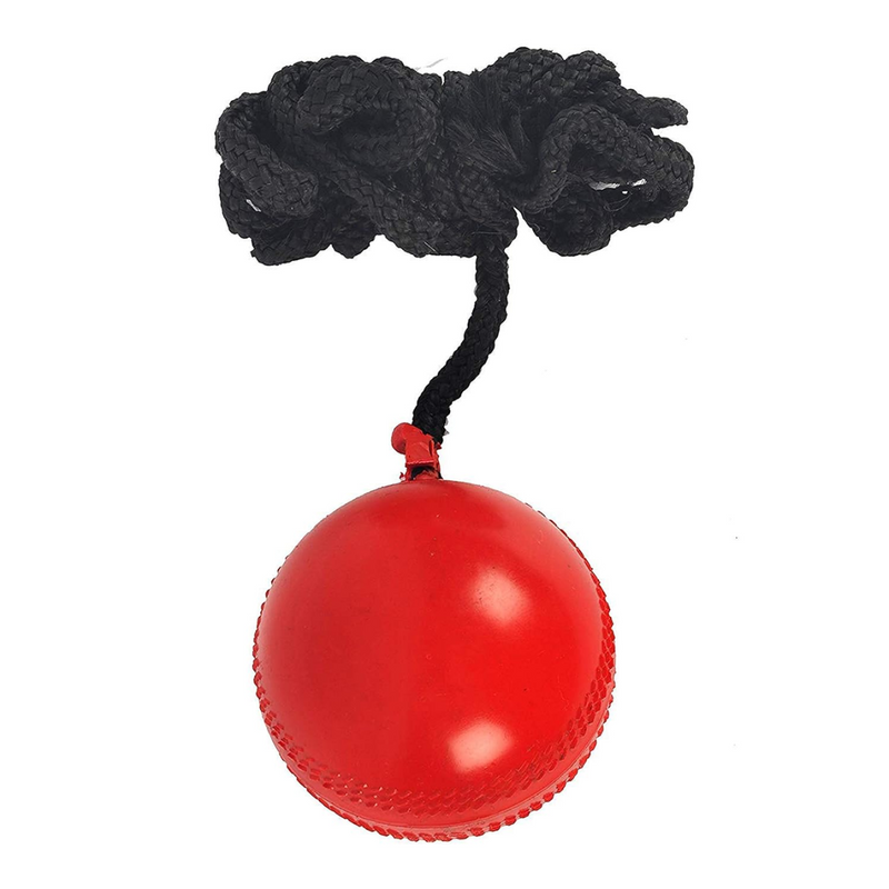 Load image into Gallery viewer, SS Hanging Cricket Ball
