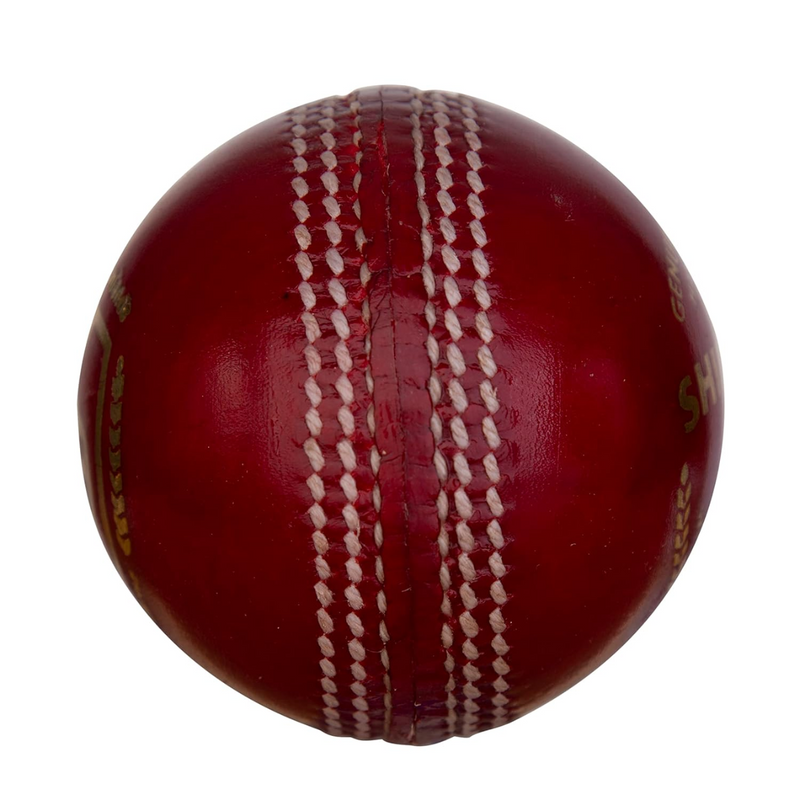 Load image into Gallery viewer, SG Shield 20 Cricket Ball
