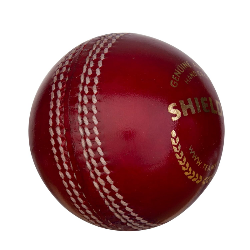 Load image into Gallery viewer, SG Shield 20 Cricket Ball

