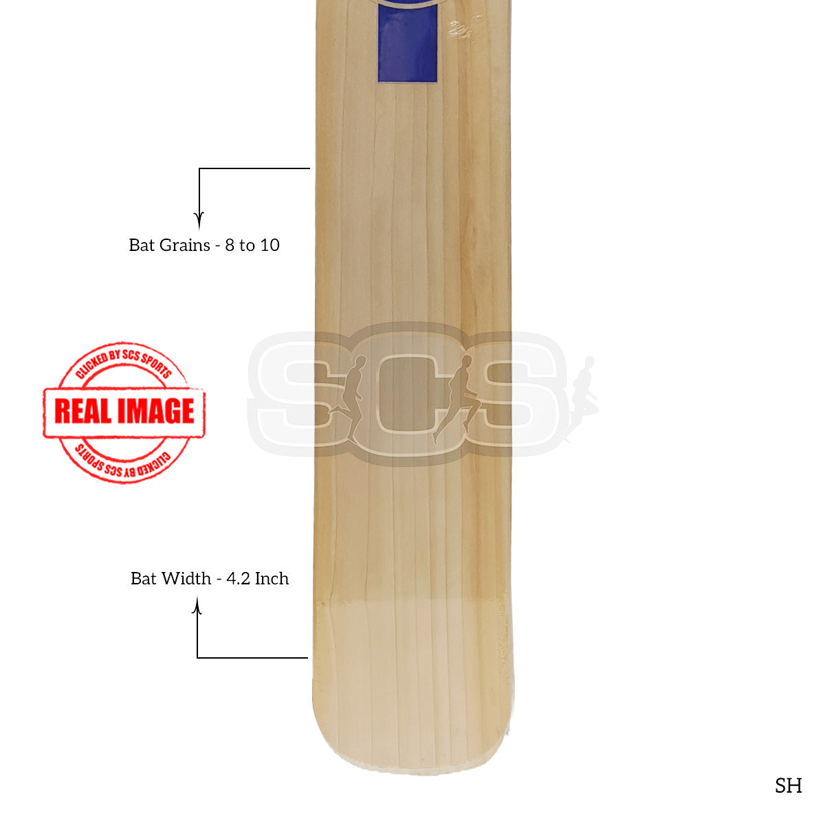 SG Kung Fu Pandya English Willow Cricket Bat