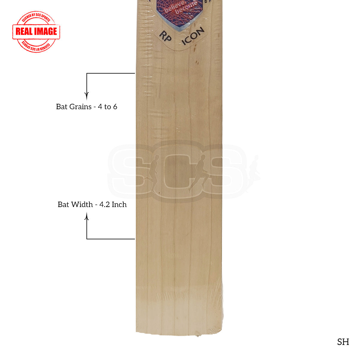 SG RP Icon English Willow Cricket Bat