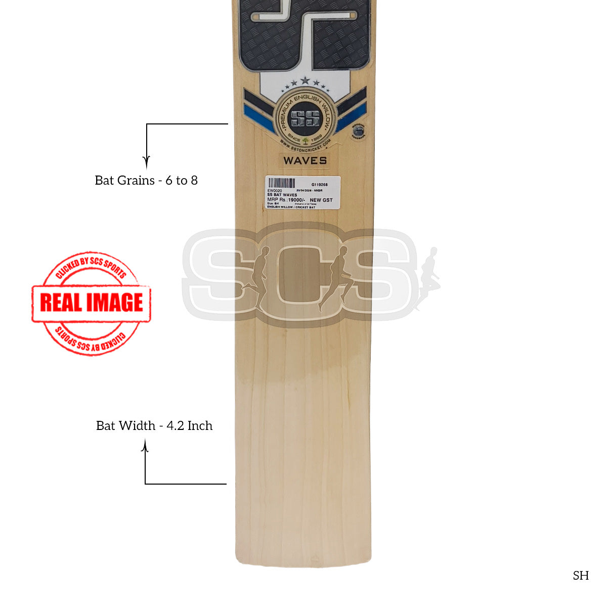 SS Waves English Willow Cricket Bat